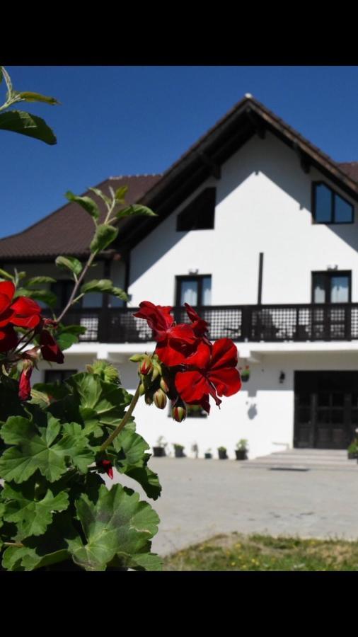 Готель Casa Poienarilor Симбета-де-Сус Екстер'єр фото